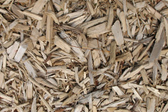 biomass boilers Torrylinn