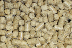 Torrylinn biomass boiler costs